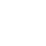 icon-custom